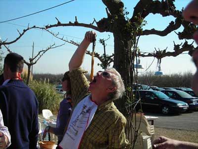 Juan de Pablos...comiendose un cal&ccedil;ot (vegetal tipico de Valls)...al d&iacute;a siguiente de la presentaci&oacute;n en El Cau (Tarragona) del cd "La Boite" de Los Glosters